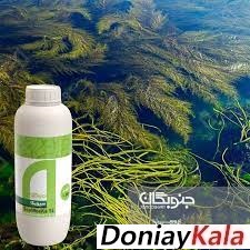 مواد محرک رشد (Biostimulants)- عصاره جلبک دریایی- سیویکا جنوبگان